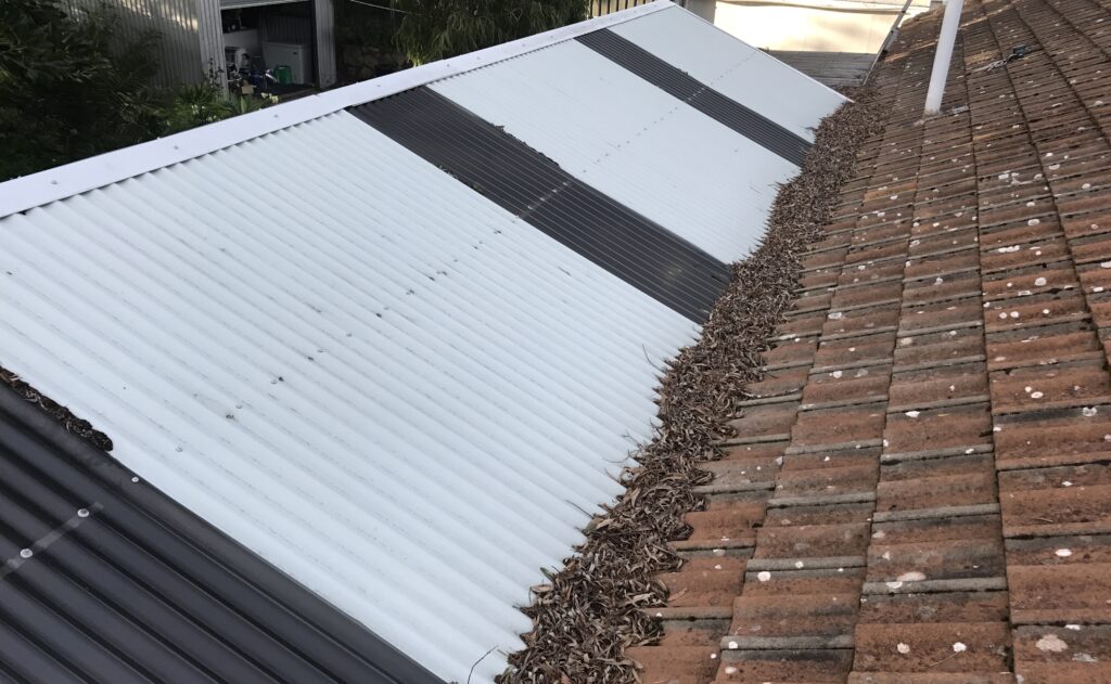 Photo of roof with leaves